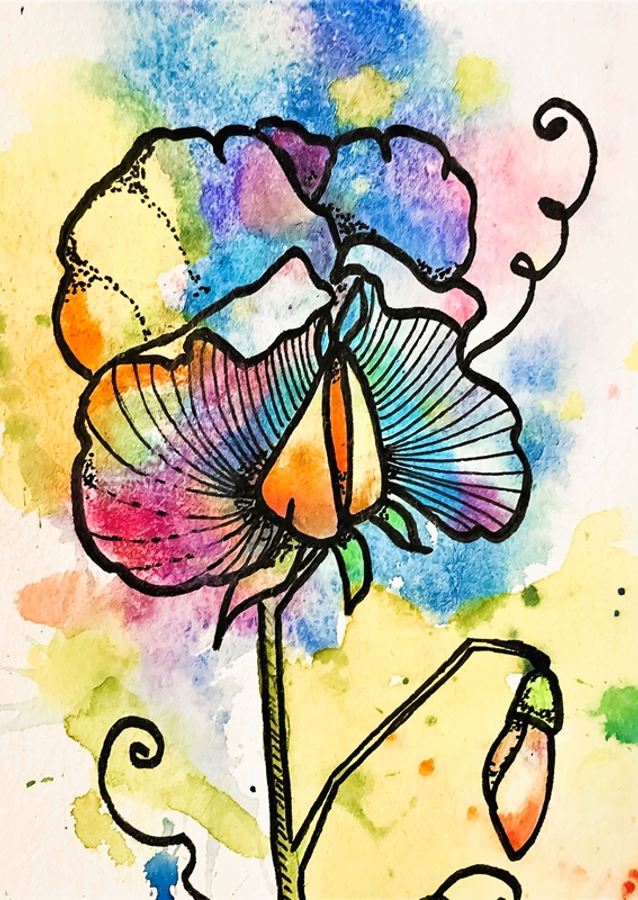 Colorful Bloom Burst