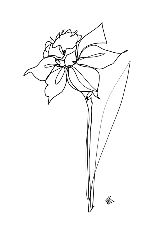 Blommig linje elegans