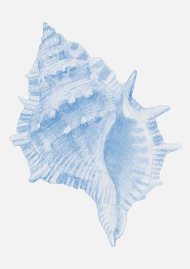 Blue Seashell Serenity