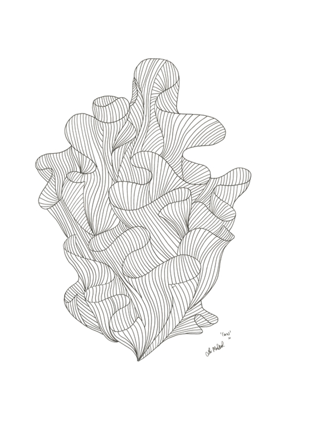 Esence Flowing Lines