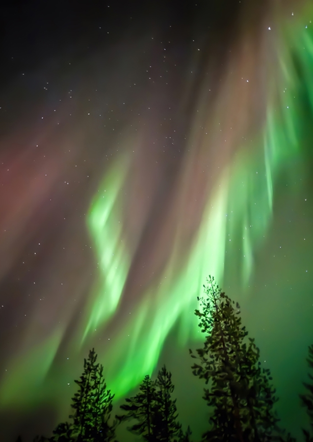 Autumn Northern Lights