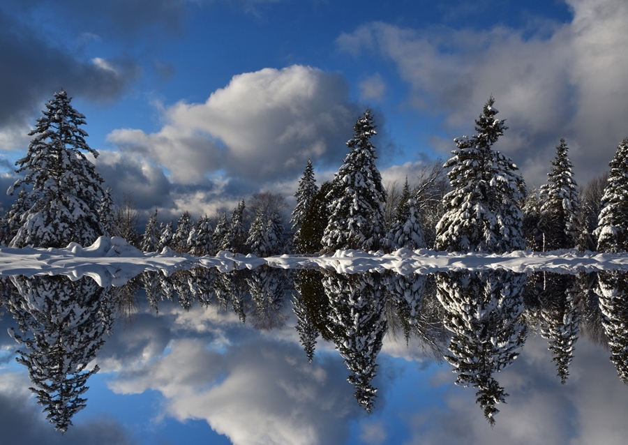 Winter reflection on the lake 
