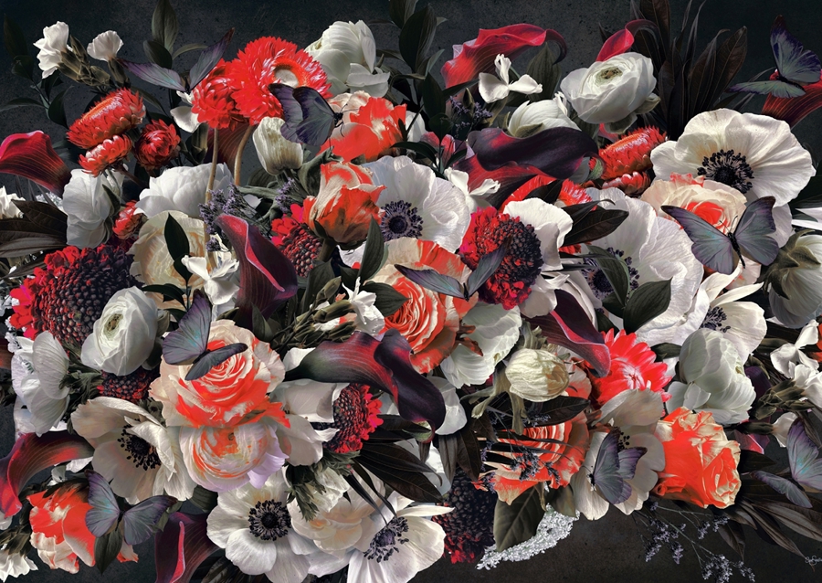 Sommerfugl blomstrer