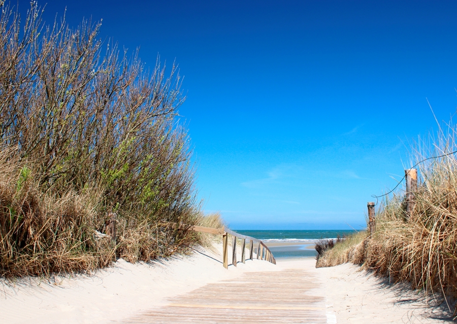 Weg zum Meer Langeoog