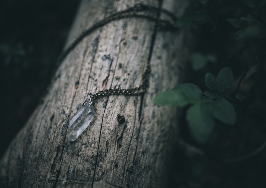 Bjergkrystal på væltet fyrretræ