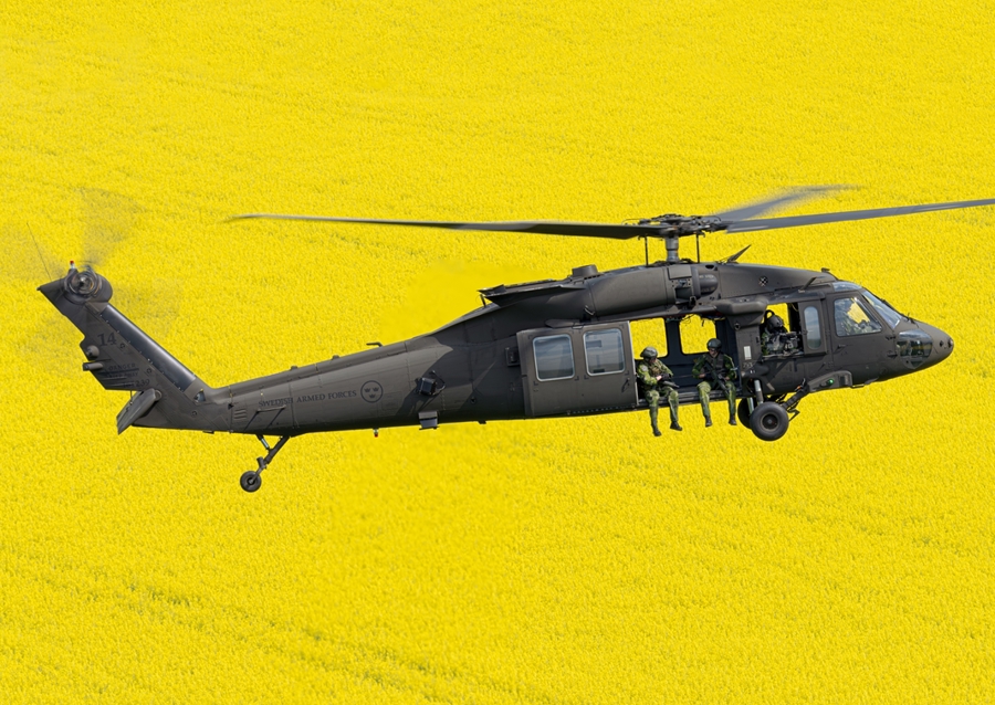 Blackhawk over fields of gold