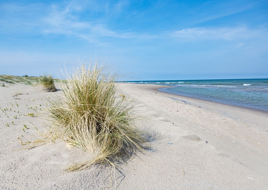 Swedish beach at Gotland