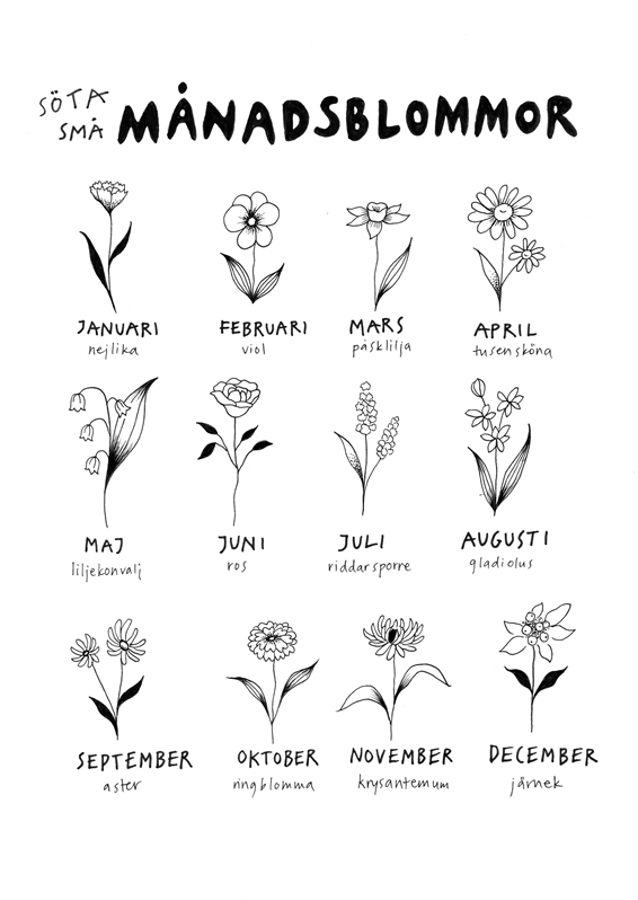 Monthly flowers