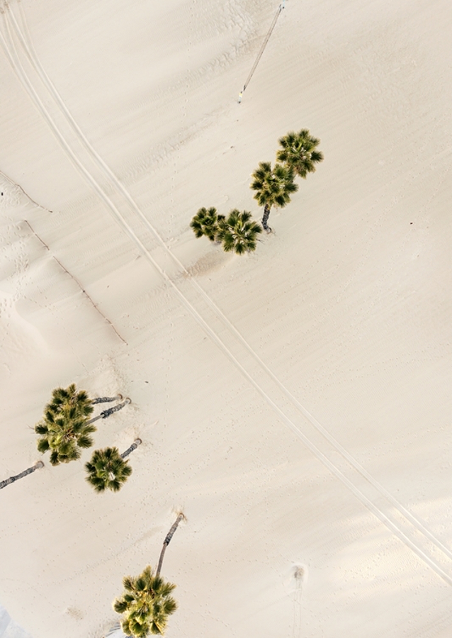 Imprints in the sand