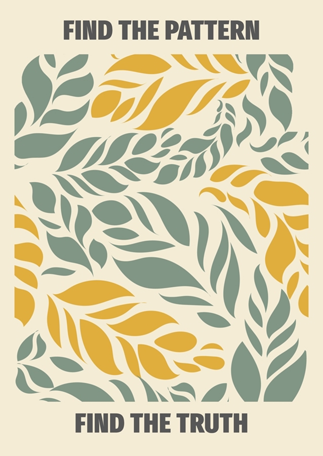 Find mønsteret, find sandheden