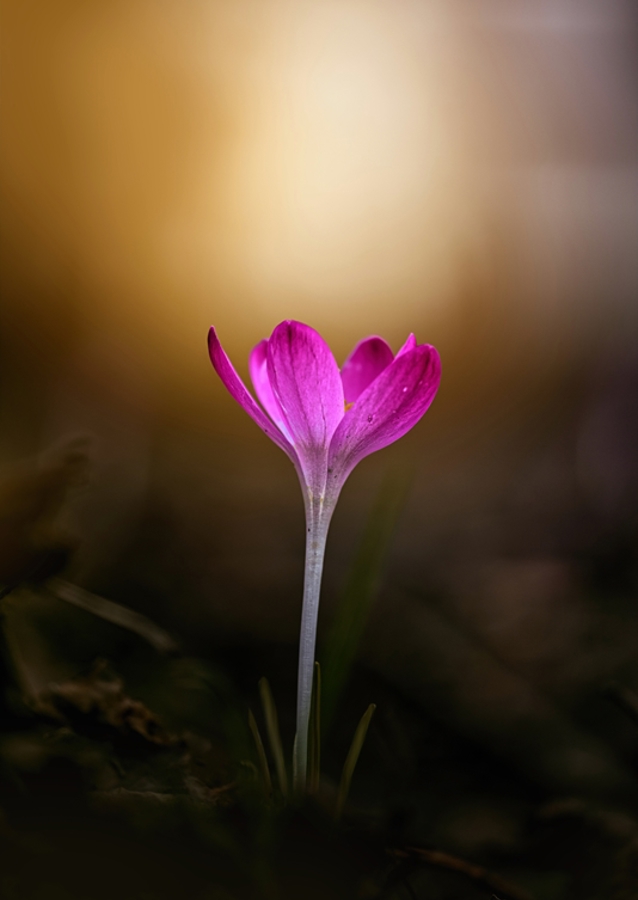 Spring is coming soon