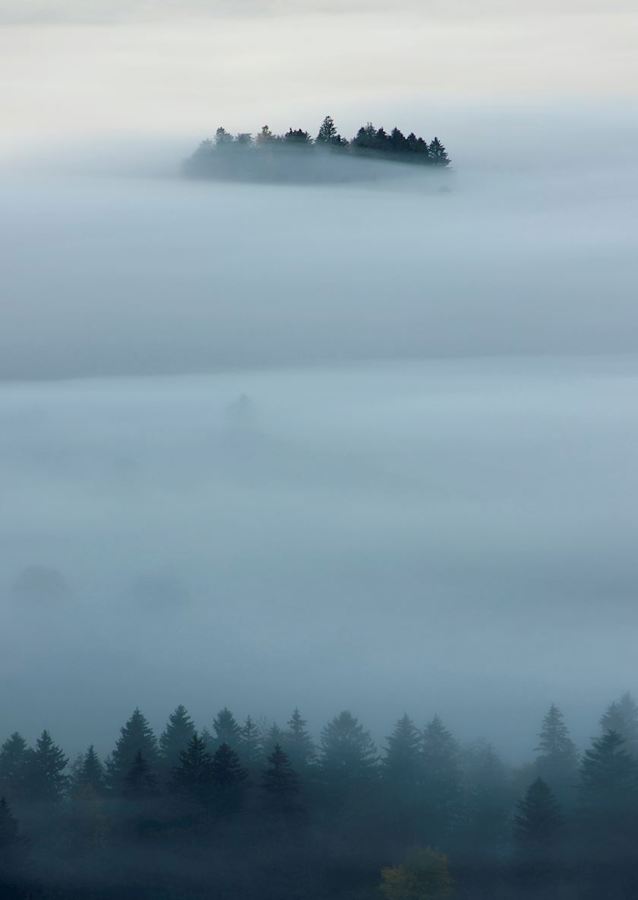 Ostrov v mlze