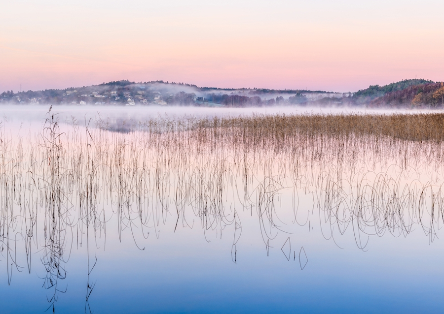 Rosa gryning vid Rådasjön