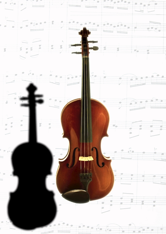 Il mio violino