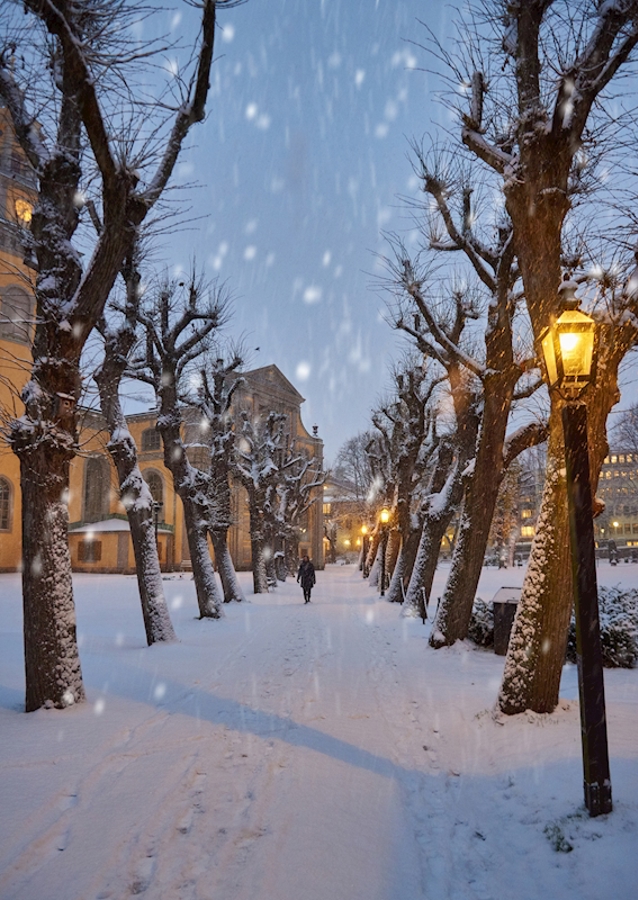 La porte d’entrée de Narnia
