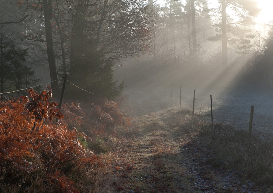 Vintersjov i Sverige