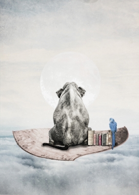 Poster: Over skyerne