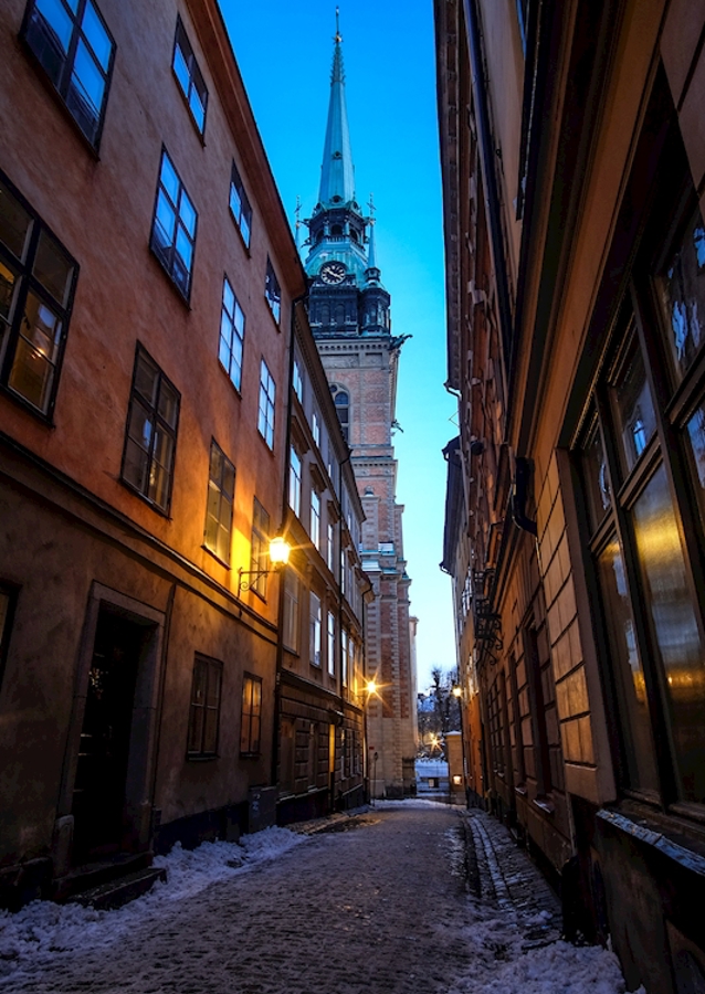 Švédska perspektíva