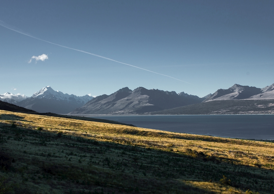 Linjer