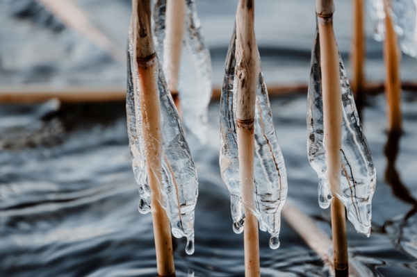 Poster: S’accrocher à la tempête - Ulrica Hållén