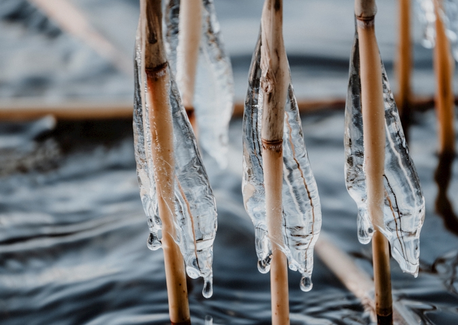S’accrocher à la tempête