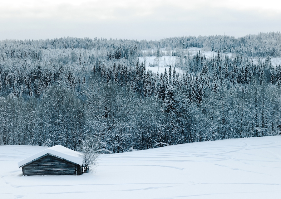 Senník v zimní krajině