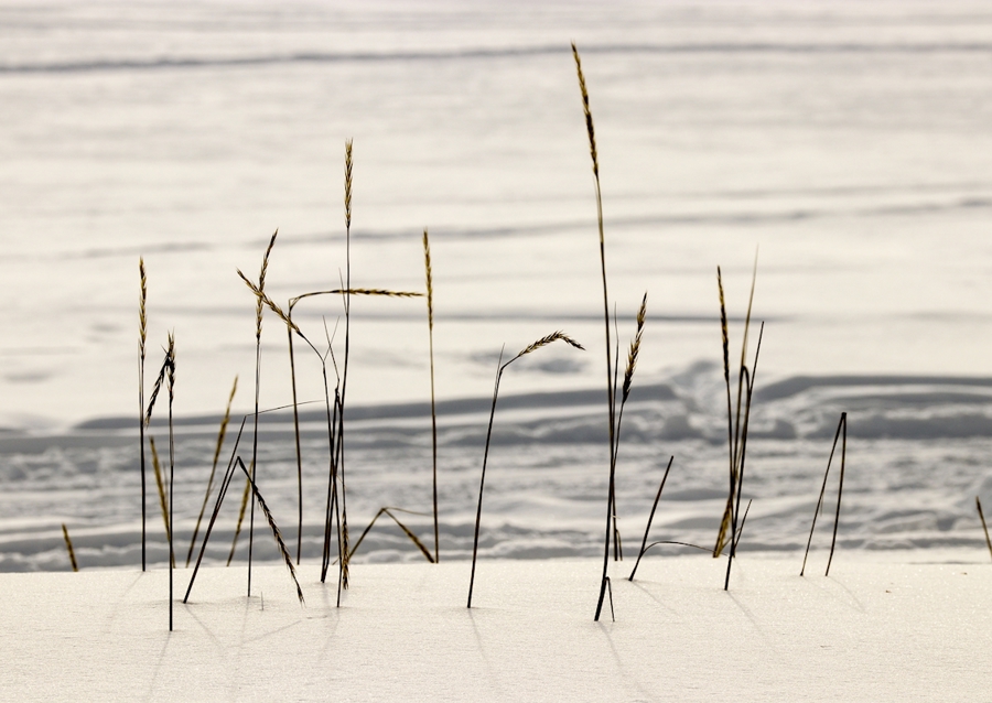 Várakozás a nyárra