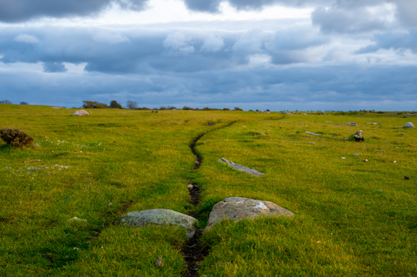 Poster: Gångstig på Öland - Christer Nilsson