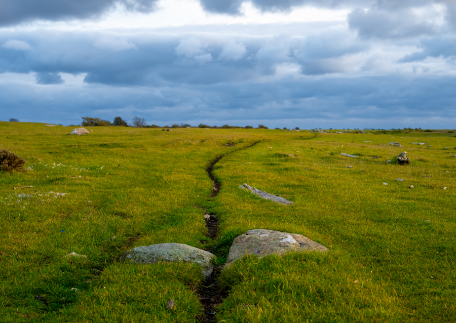Gångstig på Öland