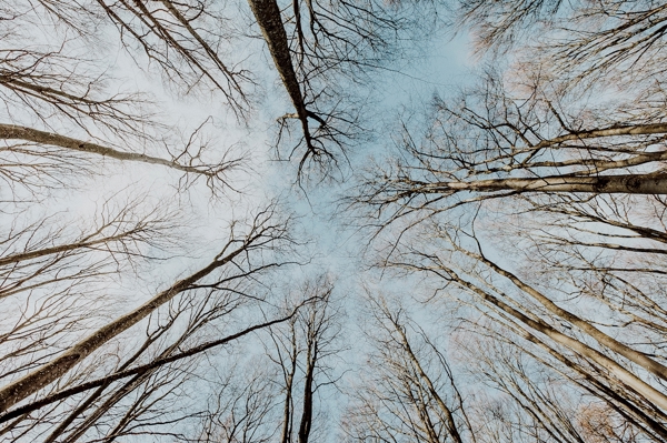 Poster: Regarder vers le ciel - Ulrica Hållén