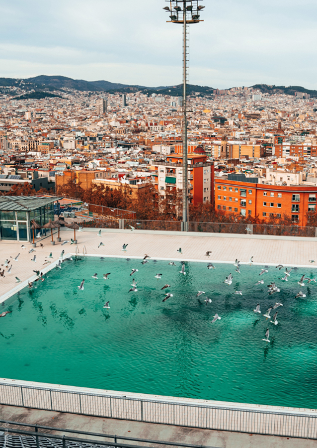 Vogels vliegen over Barcelona