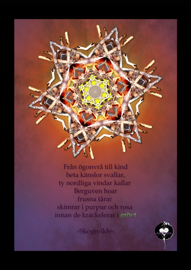 Gazing at the norden lights