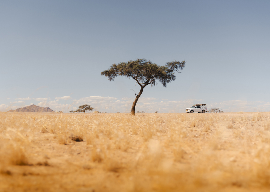 Gennem den namibiske ørken