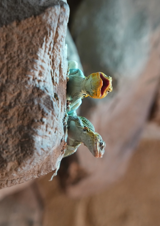 Ahol a természet visszamosolyog