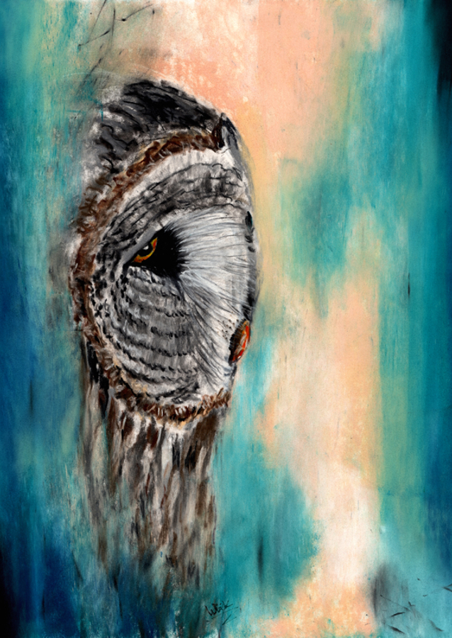 Great Gray Owl Contemplative