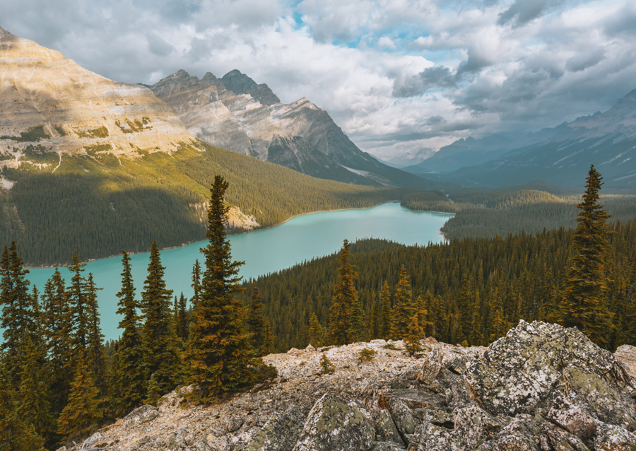 Peyto Lake
