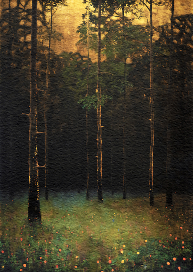 Das Licht der Morgendämmerung