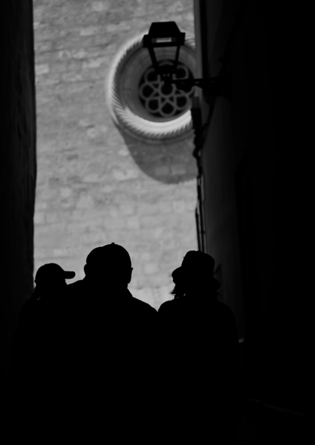 Echoes of the Cathedral