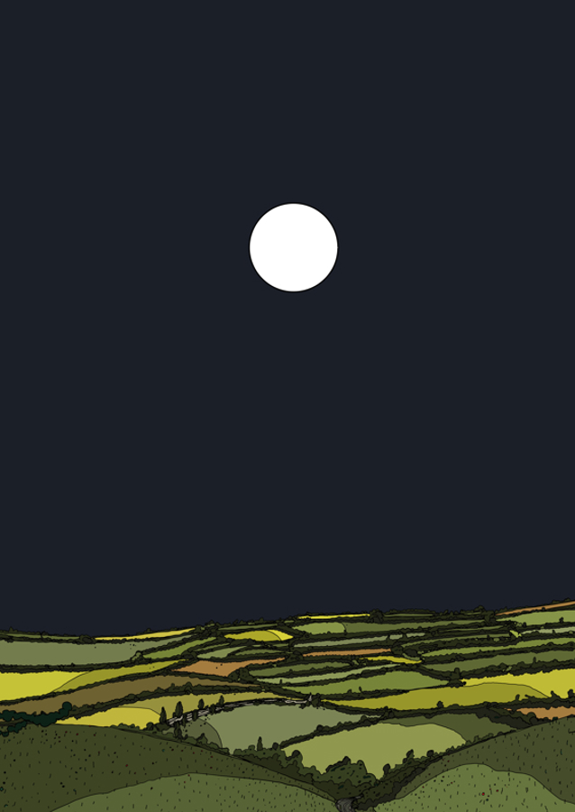 Moonlit Fields
