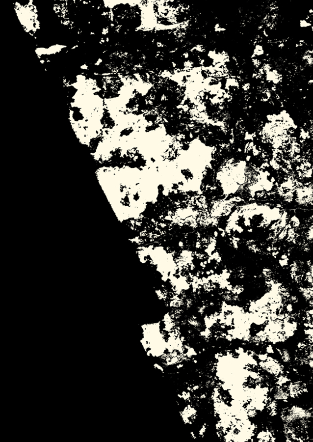 Striking Black and White Texture