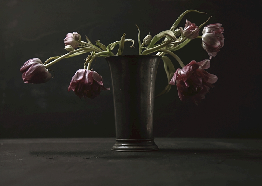 Tulips Stillife