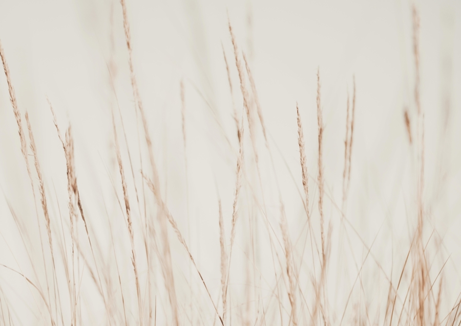 Whispers in the Wind