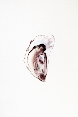 Poster: Østers samling første del