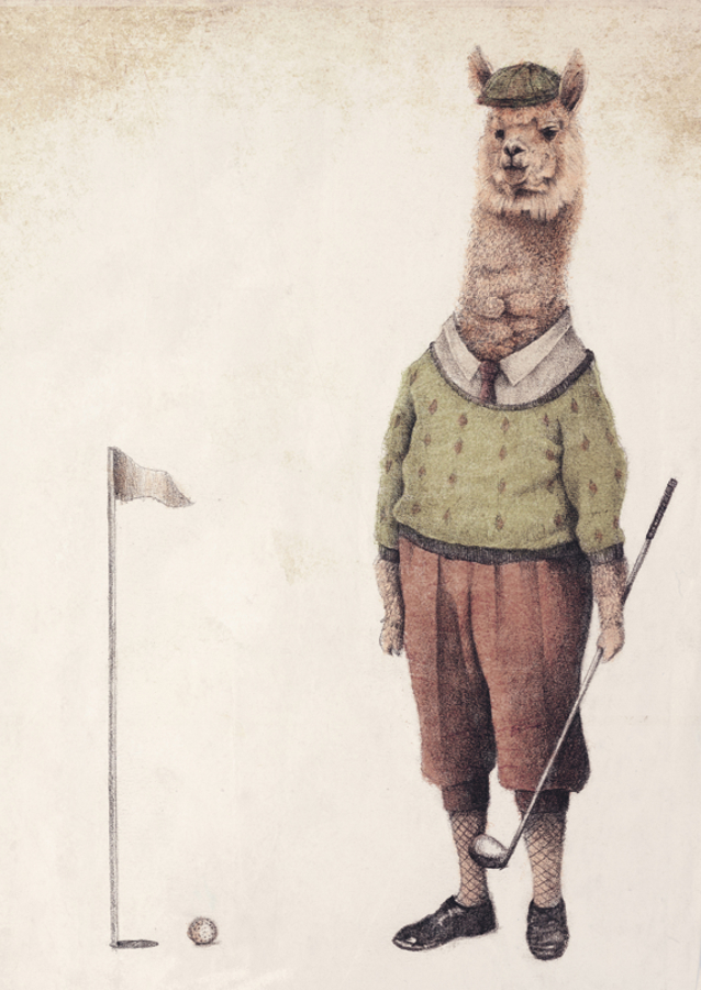 Alpaca Golfklub