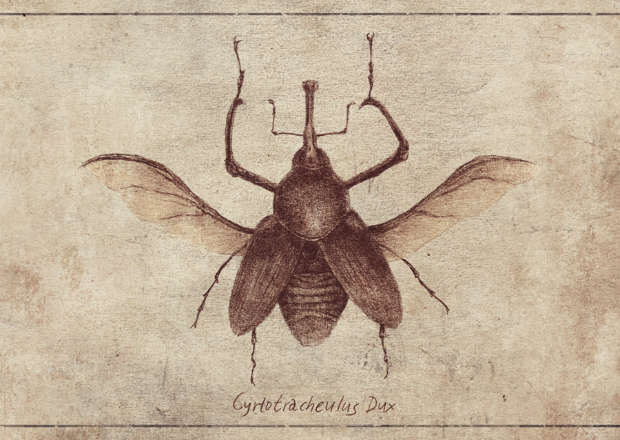 Vintage Style And Sepia Tones