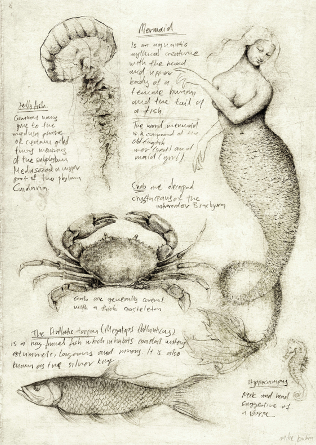 Mythical And Marine Creatures