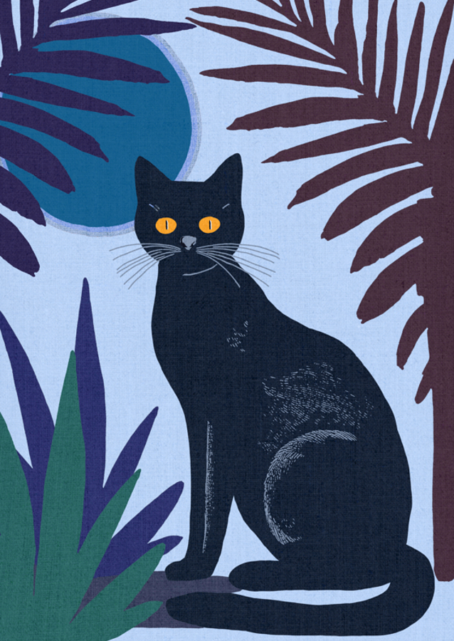 Black Cat with Yellow Eyes