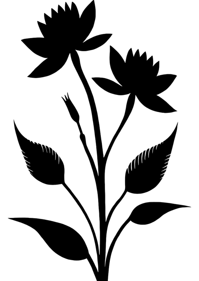 Two Prominent Flowers And Leaves