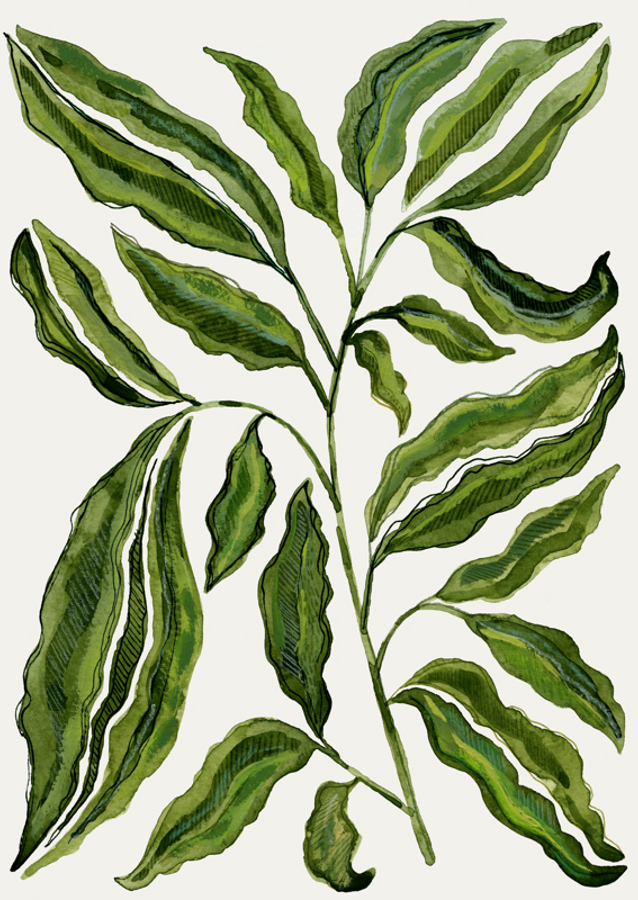 Sprig Of Leaves