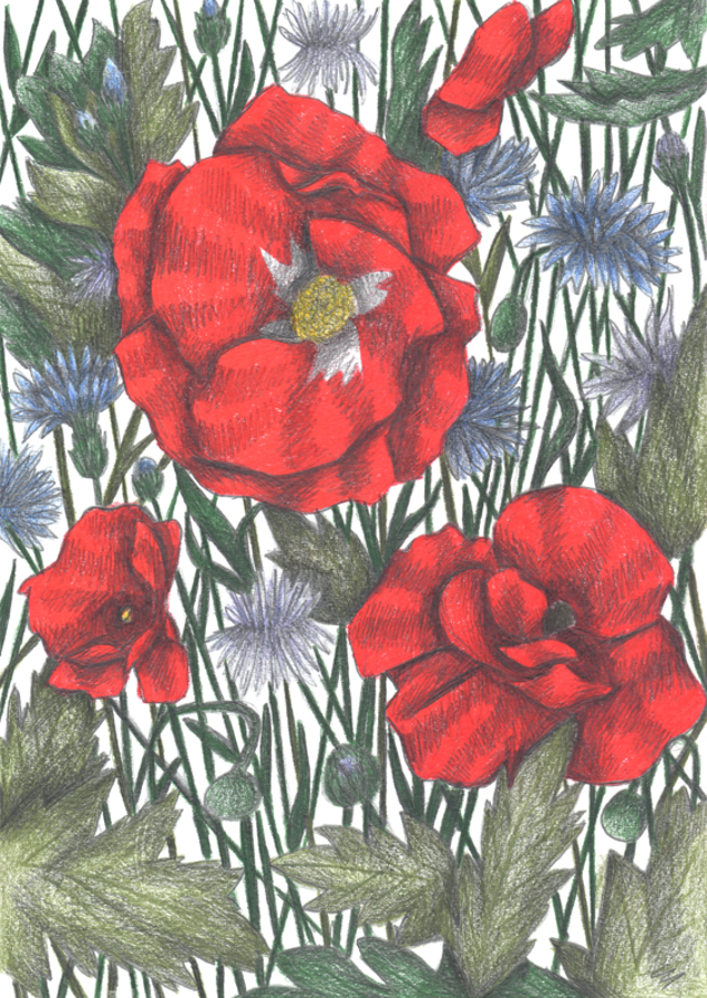 Lush Bouquet Of Colorful Wildflowers